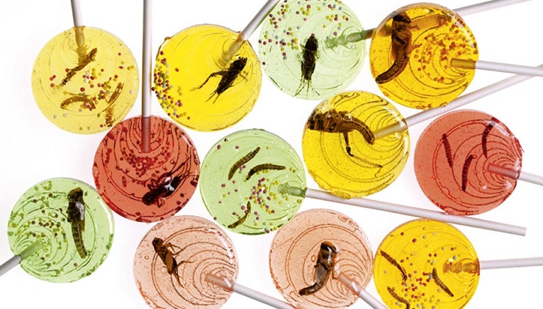 entomophagie pourquoi manger des insectes 2