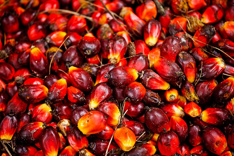 L’huile de palme est-elle si mauvaise qu’on le dit ?