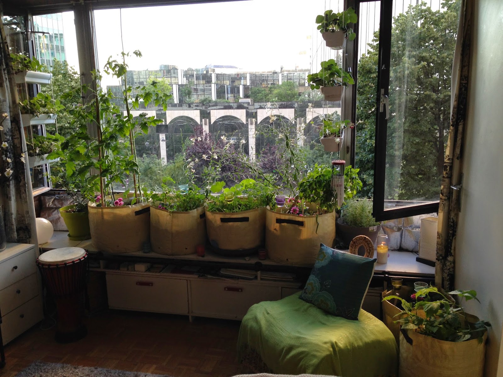 Mini potager, jardinière d'intérieur: trois choses à réaliser