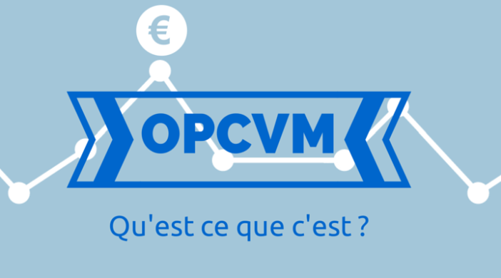 OPCVM : Nos conseil pour bien investir