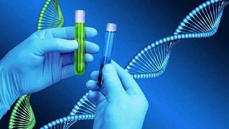 Pourquoi faire un test ADN en 2019 ?