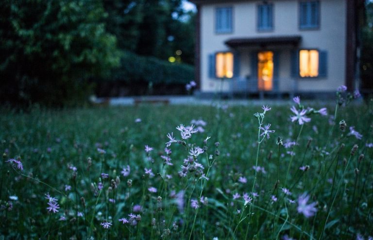 Comment se débarrasser d’un bien squatté ?