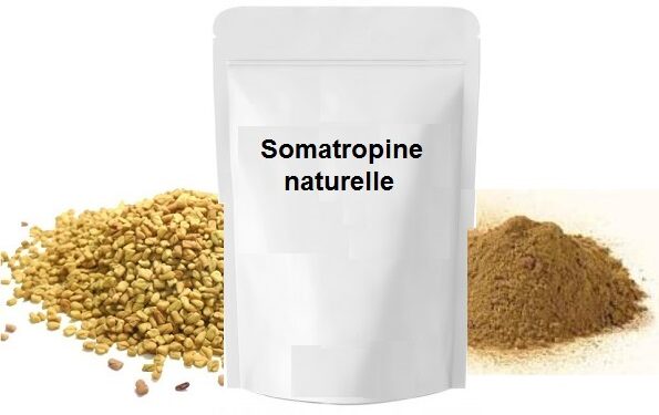 Somatropine naturelle