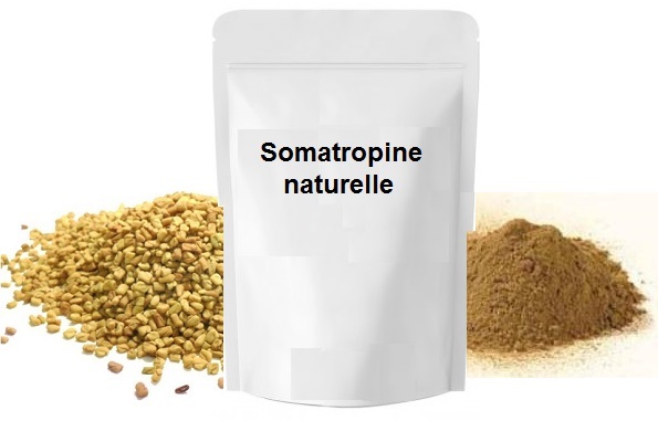 Somatropine naturelle : pourquoi et comment booster sa production par notre corps ?