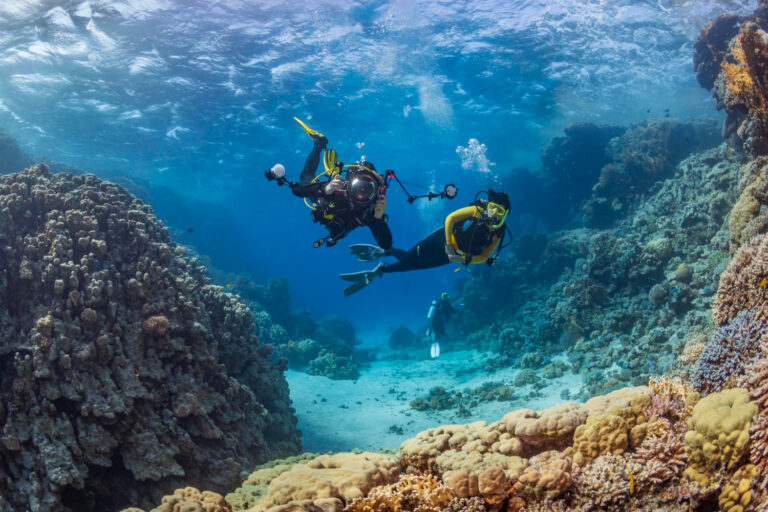 Les spots de plongée les plus étonnants à découvrir dans le monde entier