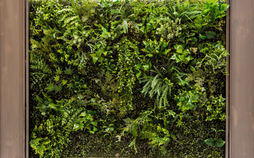 mur végétalisé